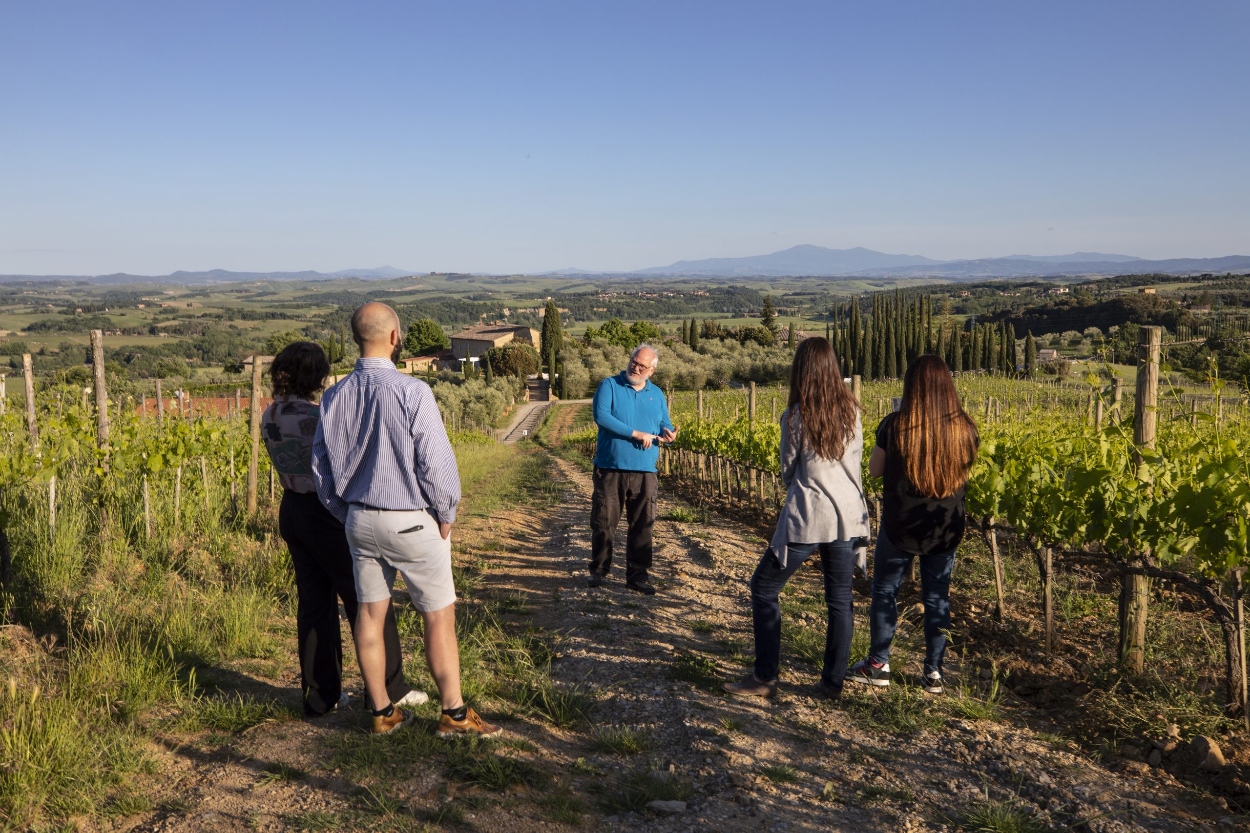 Tenuta Cappellina Wine Tour Vineyard