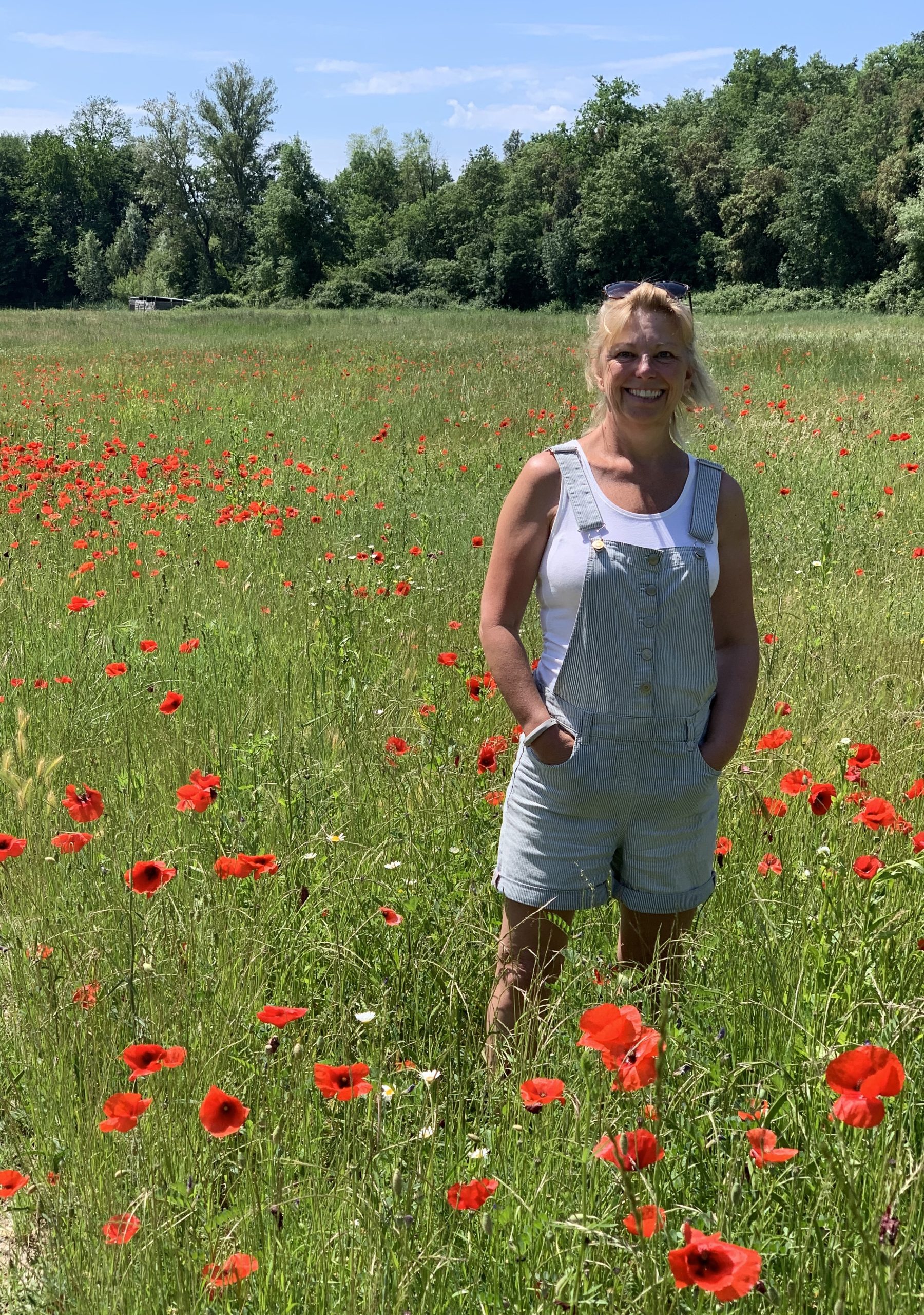 Poppy Field