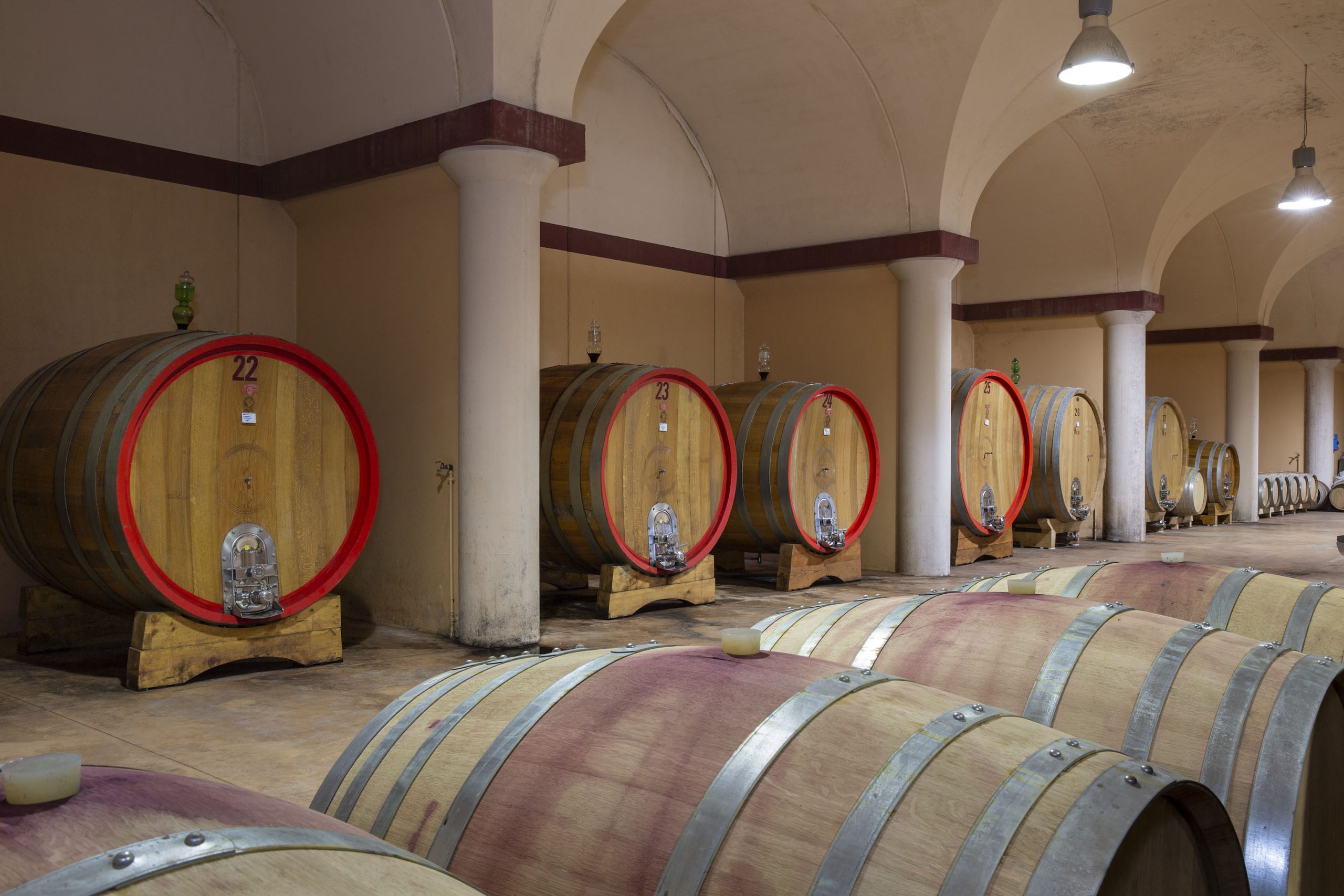 Cantina Oak Barrels